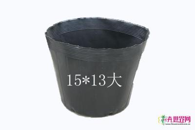 营养杯大15*13