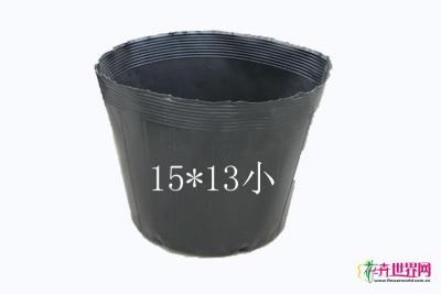 营养杯小15*13