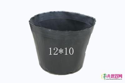 营养杯12*10